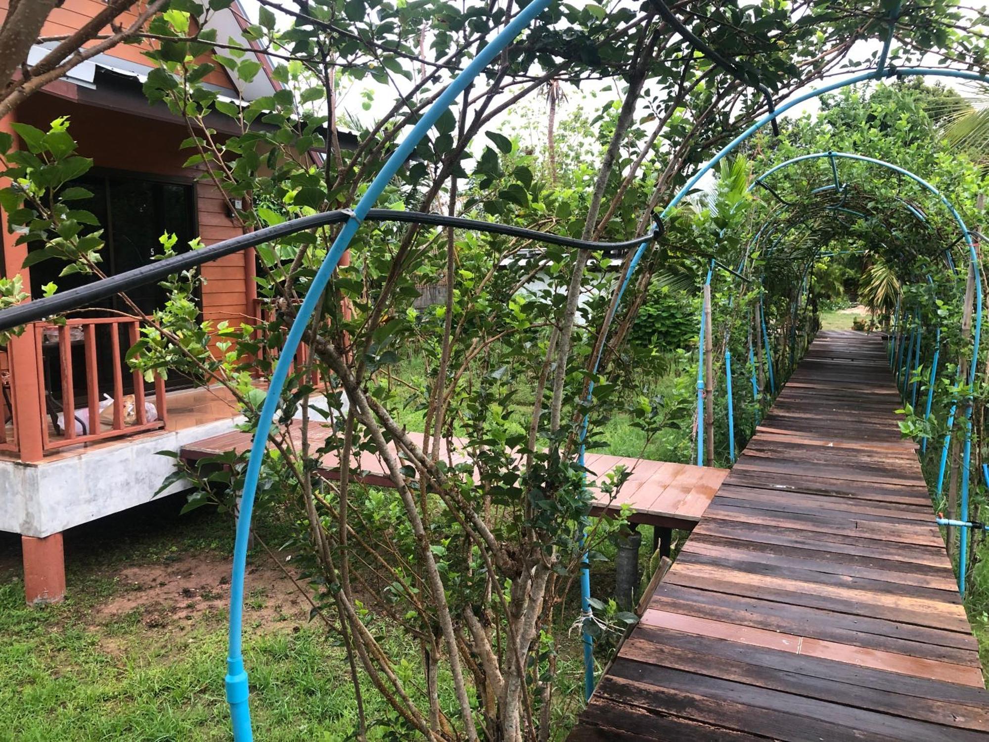 Baan Thung Home Stay Prasat Экстерьер фото