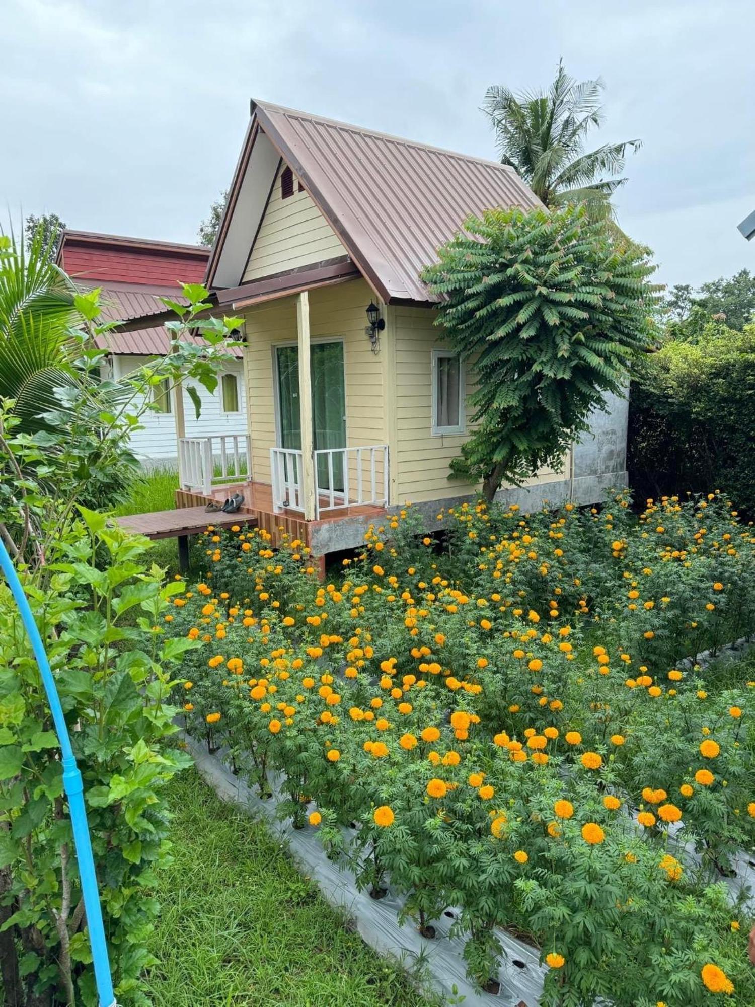Baan Thung Home Stay Prasat Экстерьер фото