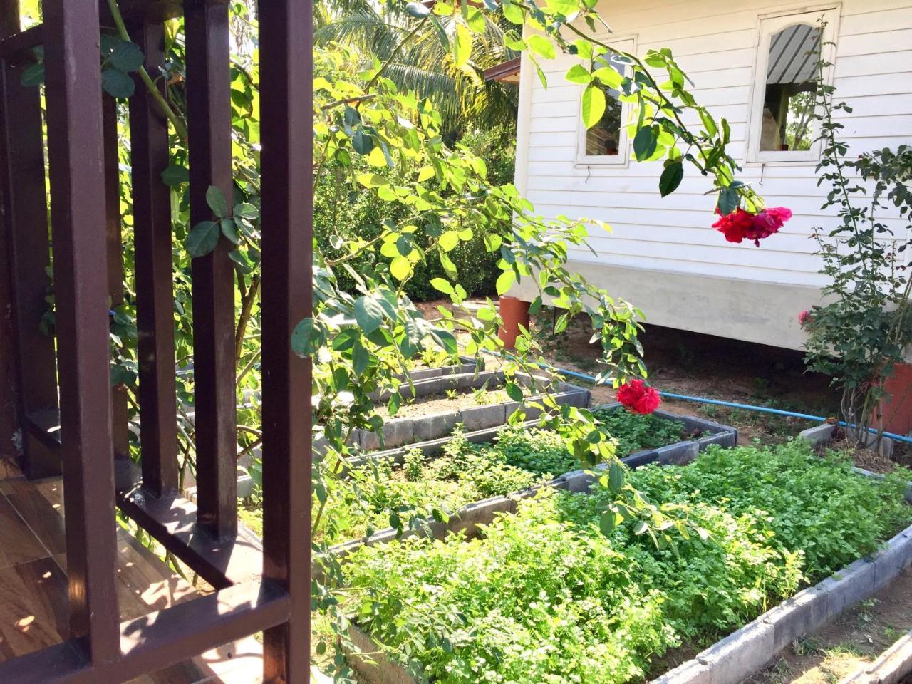 Baan Thung Home Stay Prasat Экстерьер фото
