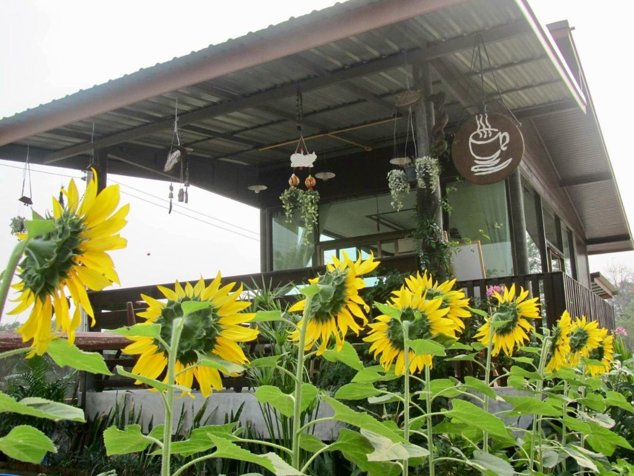 Baan Thung Home Stay Prasat Экстерьер фото
