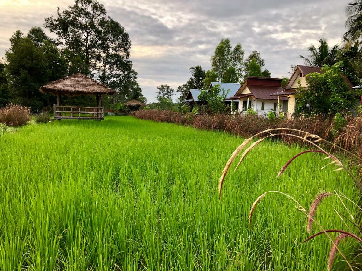 Baan Thung Home Stay Prasat Экстерьер фото
